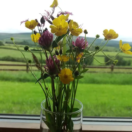 Tawnylust Fab 1-bed In Leitrim Apartment Manorhamilton